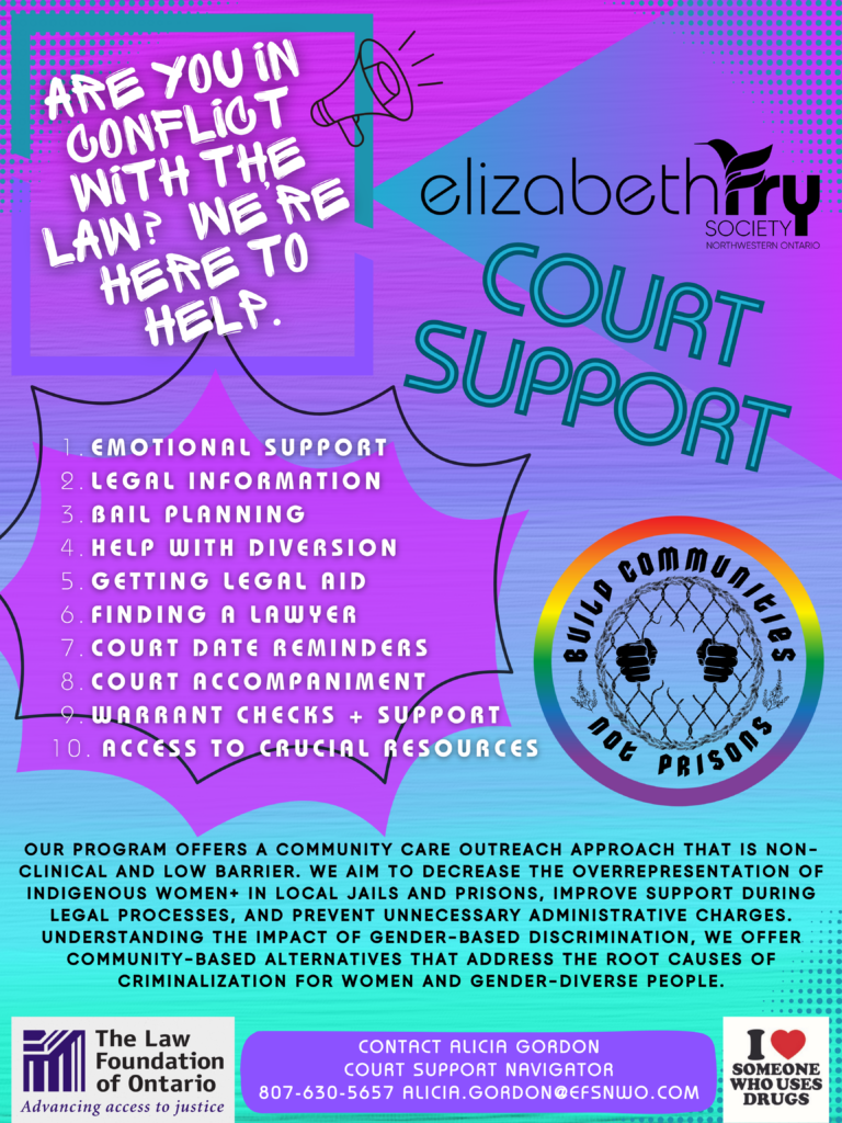 Court Support Program Poster